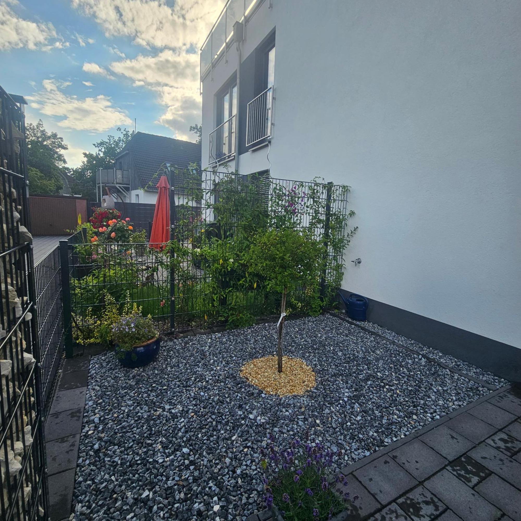Ferienwohnung - Melina - Winsen Exteriér fotografie